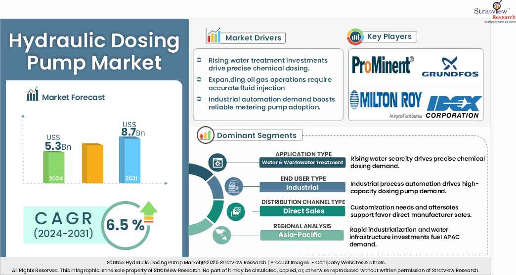 hydraulic dosing pump market insights